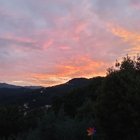Pensjonat In Campagna La Spezia Zewnętrze zdjęcie
